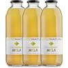 Gustonatura - 3pz Succo di Mela del Trentino Alto-Adige - Val di Sole - Senza Zucchero - Succhi di Frutta 100% BIO - Mele Raccolte a Mano - 1 Litro - Made in Italy