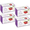 Regina di Fiori - Bosco Incantato. Infuso con Fragola. Lampone e Foglie di Mora. 4 Box da 15 Filtri da 3g (60 Filtri Totali)