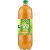 BIO LINIE Kombucha tè verde BIO 2 l - Bio Linie