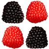 Generico Caramelle Gommose, Vari Gusti, Ideali Per Feste, Compleanni, Caramellate, Party Confezione 1kg (More 1kg)