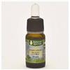 MAP Master Amino Acid Pattern NASYAMAP Olio 10 ml