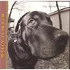 SONY MUSIC Dog Earred Drum