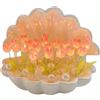 Wedhapy Lampada a Tulipano Romantica Luce Notturna a Tulipano Fai-Da-Te Con Istruzioni Lampada a Conchiglia Da 20 Fiori Atmosfera Decorativa Luce a Tulipano per La Camera Da Letto Di Casa Lampada a Tulipano