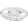 V-TAC Striscia Led da Interno SMD 5050 10W - 5 Metri - Striscia LED Adesiva per Casa, Cucina, Camera, Ambienti Interni - Luce Bianca Fredda 6500K - Strisce LED Alta Luminosità - 24 Volt