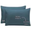 MAYRA Coppia di Federe Personalizzate | Copri Cuscino in 100% Cotone di Alta Qualità | Personalizzabili con Ricamo Nome, Iniziali, Logo, Hotel | Made in Italy | Idea Regalo (Verde Ottanio)