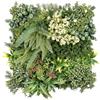 KARAT Pianta da Parete - Piante Artificiali per Montaggio a Parete - 50 x 50 cm - Giardino a Parete - Piante Artificiali per Decorazione da Parete, Balcone e Giardino (Tipo Rhea C)