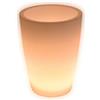 Danieli Lampada Vaso Luminoso da Giardino Cypress a LED | in Resina Anti-Ingiallimento | Luce Bianco Caldo 2700 k| LED IP67 | Made in Italy | Trasformatore IP20 da 1,1 mt | cm 40x53 | kg 2,2