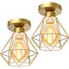 TOKIUS 2 pezzi Plafoniera E27 Vintage Lampadario da soffitto Industriel Design Lampadario a sospensione Metallo Gabbia Ø160mm Per Salotto Cucina Camera