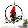 Maciun Luci solari da giardino con uccellini , luci solari da giardino per Natale, paesaggio natalizio, luce solare per vialetti, decorazione natalizia impermeabile per esterni