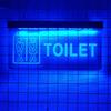 KEYQEEN Insegna al Neon a LED per WC con oscuramento a 10 Colori, luci al Neon per Ingresso WC WC, luci notturne per insegne Luminose sospese a Parete,30x15cm