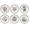 Portmeirion Botanic Garden - Set di 6 piatti piani, 25,4 cm