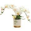 Generic Fiore Artificiale di Orchidea a Tre Punte Arancione in Vaso con Fondo Dorato Fiore Decorativo Phalaenopsis con Vaso di Fiori Farfalla di Simulazione Bianco (bianco)