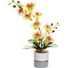 Generico Fiore di Orchidea Artificiale Giallo a Due Punte Fiori in Silicone Phalaenopsis Phalaenopsis a Otto Teste con Vaso di Fiori Fiore di Farfalla di Simulazione Bianco in Vaso (giallo)