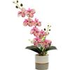 Generico Fiore di Orchidea Artificiale Giallo a Due Punte Fiori in Silicone Phalaenopsis Phalaenopsis a Otto Teste con Vaso di Fiori Fiore di Farfalla di Simulazione Bianco in Vaso (rosa)