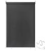 Aufun Tenda da Sole a Rullo per Esterno Balcone Tende Verticali, Resistente alle intemperie, anti UV, protezione solare per finestre e porte, 140 x 240 cm Antracite