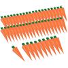 Jiuvaso 50x Scatole per Caramelle, Contenitori a Forma Di Carota, Sacchettini Pasquali per Cioccolatini, Per Matrimoni, Compleanni, Shower O Qualsiasi Celebrazione Che Richieda Un Packaging Creativo