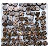 LiuliuBull Natural Crystals 1 PZ Gemstone Naturale Raw Staurolite STAULOLIT POLICATO Fairy Cross Pietra Minerale Specimen Reiki Crystal Stone Come Regalo Pietra Decorativa