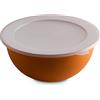 OMADA Design Contenitore per Alimenti Grande con Coperchio da 6,5 Lt, Antibatterica, Leggera, Infrangibile, lavabile in Lavastoviglie, Linea Sanaliving