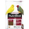 Versele-laga Nutribird C19 3 kg per Uccelli di Taglia Grossa, Cibo per Roditori, 3 kg