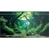 Didooou Sfondo naturale per acquario, sfondo acquario, adesivi per acquari, 30 cm, 40 cm, 50 cm, 60 cm, 80 cm (foresta acquatica 1, 40 x 80 cm)