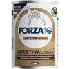 Generico Forza 10 umido Intestinal Colon, Paté Rustico con Agnello, Alimento Completo per Cani, 6 Scatolette da 390 g