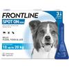 Frontline Spot Cane 3 Fialette Tra 10 e 20 KG
