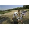 Ortocanis Scarpe in Gomma per Cani - S