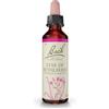 Bach - Star of Bethlehem Gotas - 20 ml