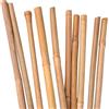 UNUS Aste di bambù, 10 stecche per piante in bambù, lunghezza 150 cm, traliccio