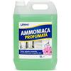 LEMAG SRL Ammoniaca Profumata Multiuso 5 LT - Sgrassante Smacchiante per Vetri, Pavimenti e Superfici - Uso Domestico e Professionale - Senza Parabeni, No Nichel, Senza Risciacquo
