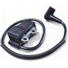 ITrvcaY Bobina di accensione PB580 adatta for ECHO PB-580T PB-580H EB600RT Sostituisce le parti del soffiatore a zaino A411001620/21