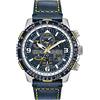 Citizen Herren-Uhren Analog Funk 32022712