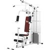 HOMCOM Stazione Fitness con Pull Down per Home Gym 150x110x210 cm Bianco