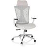 HJH Office sedia professionale per ufficio FALEO W Sedia girevole in tessuto/mesh con supporto lombare, poggiatesta regolabile in altezza, grigio 751012
