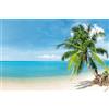 1art1 Spiagge Poster XXL Maldive, Spiaggia del Paradiso Stampa Geante 120x80 cm