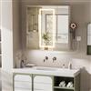 Ztexkee Specchio Bagno Contenitore con illuminazione e Antiappannamento Armadietto Bagno a Parete con Presa (2*AC + 3*USB) e 3 vani portaoggetti indipendenti per il Bagno 80 * 80 * 16 cm