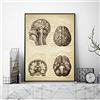 GUDOJK Quadro Art Deco su Tela Cervello Stampa Medica Testa Umana Anatomia Illustrazione Vintage Poster Neurologia Scienza Arte Tela Pittura Immagine Medico Regalo Muro-60x80cm