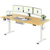 FLEXISPOT Scrivania Regolabile in Altezza 200 * 80 cm, Tastiera con Memoria, Con Gancio, Standing Desk Scrivania Motorizzata