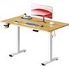 SANODESK Scrivania Regolabile in Altezza con Piano Completo - Inclusi 4 Accessori: Portabicchieri, Gancio, Contenitore e Gestione Cavi, con Funzione di Memoria, per Ufficio e Tempo Libero