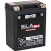 BS Battery 300863 btx14ah AGM SLA Max batteria per moto, nero