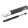 RIDEX 514G0070 Ammortizzatore pneumatico cofano motore Sinistra Compatibilità con VOLVO S60 I 384