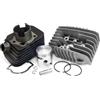 Generico Gruppo Termico Testata Cilindro Pistone D. 43 Compatibile con Piaggio SI 50 Bravo Boxer Grillo Boss Spinotto 10-65 cc