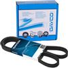 DAYCO Kit Cinghie Poly-V KPV343