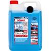 SONAX Antifrost utilizzabile 5,0L Vista chiara, fino a-20C