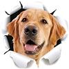 Asudaro Adesivo per Auto per Cani, Adesivo per Auto di Simulazione 3D Adesivo per Auto Gattino Simulazione di Personalità Divertente Decorazione per Moto Decalcomanie per Auto Adesivi Antigraffio per Porte