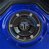 labelbike Adesivo 3D Moto Tappo Serbatoio Compatibile con Triumph | Tiger 800 Sport 2025, Protezione in Resina, Antigraffio, Decorazione, Caspiano Blue, Made in Italy