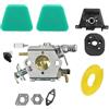 Minhe Kit filtro aria carburatore compatibile con 351/371/391/420, Pro 4016, 441/444 - Guarnizioni incluse