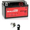 MOTO SPORT MONDO COMPATIBILE CON BENELLI BN ABS E4 125 dal 2018 al 2020 BATTERIA IN GEL MALOSSI MTX7A-BS GIA' PRONTA ALL'USO ATTIVA PRECARICATA IN FABBRICA BATTERIE 6 AH AMPERE 12 VOLT