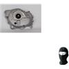 farbrothersonline COMPATIBILE CON P IAGGIO 250 Vespa GTS 8798315 05/16 POMPA ACQUA COMPLETA 8798315 COPERCHIO VOLANO ORIGINALE