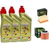 Generico Kit Tagliando, Olio Motore 10W-40 4T 3L + Filtro Olio e Aria compatibile con BMW F650 GS G650 GS Dakar